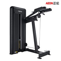正伦(AEON)CS-825站立式小腿训练器健身房专用健身器材