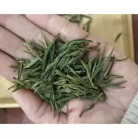 高山绿茶w01007