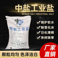 XN 工业盐 50kg/袋-xzw