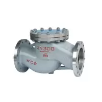 MD 止回阀DN32 H41H重型 40C