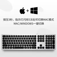爱国者 (AIGO) 超薄双系统安静键盘 适配苹果Mac RGB背光 铝合金面板 巧克力键盘有线键盘 V800 亮银色