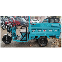 澳柯玛 1000W 60V 32A 三轮车（辆）