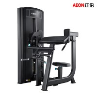 AEON 正伦 CS-883 坐式二头三头训练器 肱二头肌 肱三头肌训练器