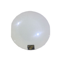 CIYAN(CIYAN)渣 盘 骨 碟(创意垃圾盘 小吃盘子)