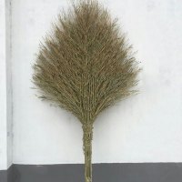 LZ 清扫街道大扫帚/环卫大扫把(5把)