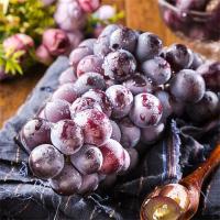 福安 巨峰葡萄 4斤装 4大串