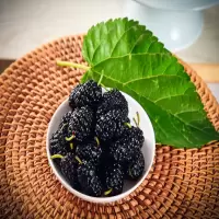 新西兰蓝莓 12盒