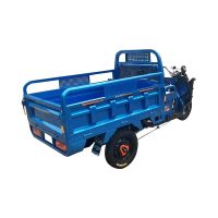 金光彩精品电动三轮车700w60V32AH 定做1辆