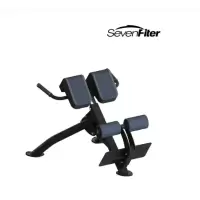 SevenFiter施菲特SF3220罗马椅健身房商用