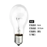 灯泡 60W 10个