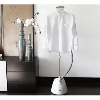 伊莱克斯True-love蒸汽挂烫机EGGS210