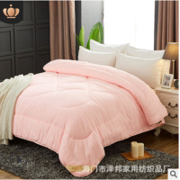 蚕丝被被 夏凉被冬被被芯