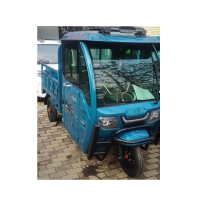澳柯玛 1000W 60V 32A 带棚 三轮车(辆)
