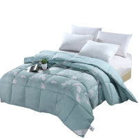 欧典梦娜莱卡润肤吸湿被