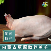 [羊肉冻品] 正镶白旗牧之情草原散养羔羊12.5kg左右