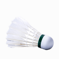 张岐珊 体育用品套餐 B1626(详见销货清单)