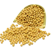 晋唐黄豆500G(仅限临汾市区)