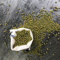 晋唐绿豆500G(仅限临汾市区)