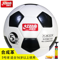 红双喜 F104 5号 足球