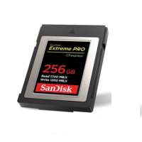 闪迪SanDisk CFE存储卡256G 高端相机专用