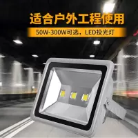 启道LED光源投光灯户外防水广告灯工业仓房泛光灯泡建筑工地照射灯