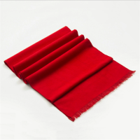 活动会议年会红围巾