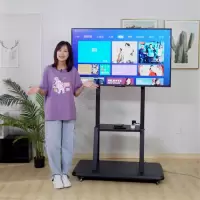 电视机挂架+延长线