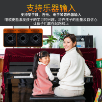 山水(SANSUI) SA1-12 户外K歌音响拉杆广场舞室外带话筒无线蓝牙