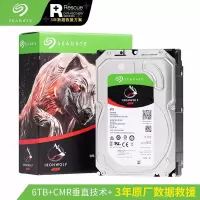 希捷 NAS硬盘 6TB 256MB PMR CMR垂直磁记录 网络存储 SATA 希捷酷狼IronWolf