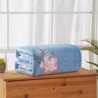 HY HYX011MT木芙蓉绒毯