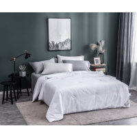 蚕花娘娘(SILKUEEN)2500克慕白蚕丝被 单个装