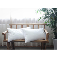 蚕花娘娘(SILKUEEN)48*74cm羽丝绒枕 单个装