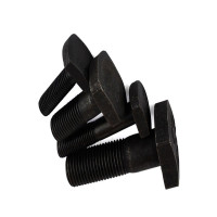 宁力(NLGS) T型螺栓带螺母8.8级 m24*90-黑色 （10套/包）