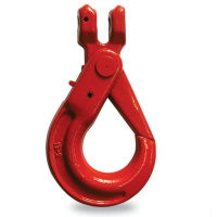 多来劲 Doleco 09080308 80级羊角自锁安全钩 额载2T(包装数量 1个)(TG)