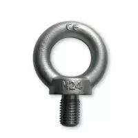 多来劲 Doleco DIN580 蓝白锌 M16 吊环螺栓 DIN580 M16 碳钢 白锌 1个(TG)