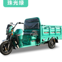 金彭大力神电动三轮车拉货载货大功率装货电瓶三轮车60V32A电瓶
