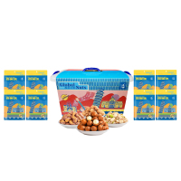 名物 和风之旅-环球坚果零食礼盒A2