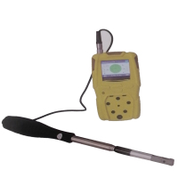 北京凌天多参数气体检测仪/YQ7