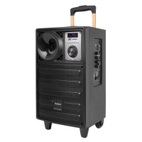 爱浪电瓶箱DX10-12