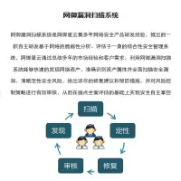 网御星云 漏洞扫描 TS-SC-E1200 单任务可扫描300个IP地址，并发70
