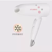 韩国现代 电吹风YH1600