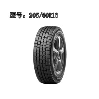 邓禄普205/60R16雪地胎
