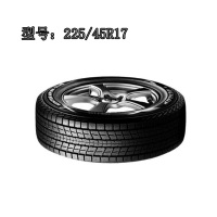 邓禄普225/45R17雪地胎