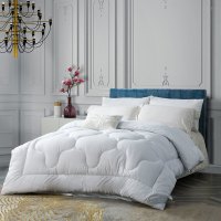 水星家纺 DHDH清朗净醛抗菌羽丝绒被第二代 200X230cm
