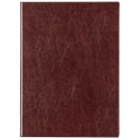 得力3306商务办公笔记本(棕色)1本装