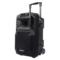 爱浪电瓶箱DT-12