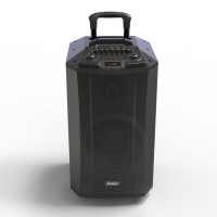 爱浪电瓶箱DX-10