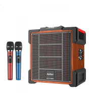 爱浪电瓶音箱DX20-01S