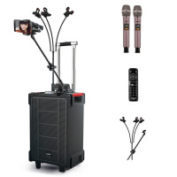 爱浪电瓶音箱DX20-10Pro