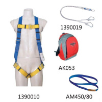 3M FP003813910 脚手架作业安全带套装(包装数量 1套)(TG)